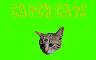 Image Catch Cats